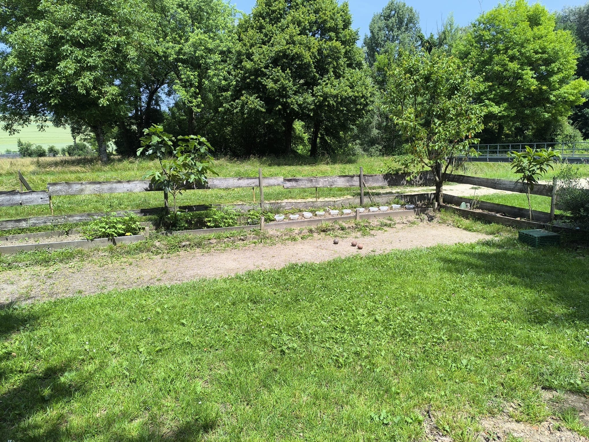Terrain de petanque